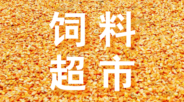 打造"饲料超市"，建发原材料饲料业务发展迅速