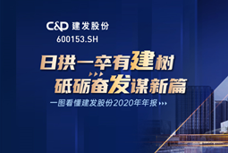 一图看懂建发股份2020年报